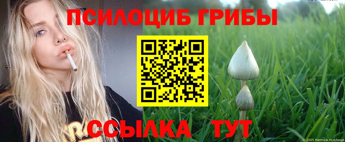Псилоцибиновые грибы MAGIC MUSHROOMS Обь